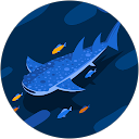 sewajer com profile picture